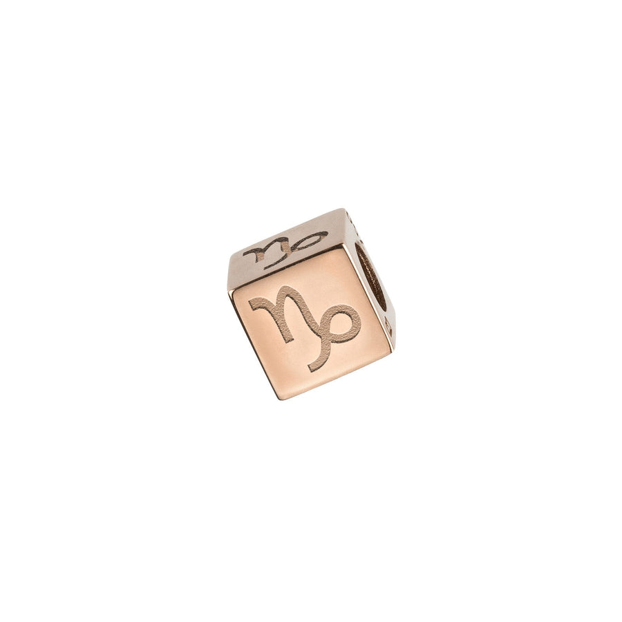 Capricorn Cube | B COSMIC -Cube- boumejewelry.